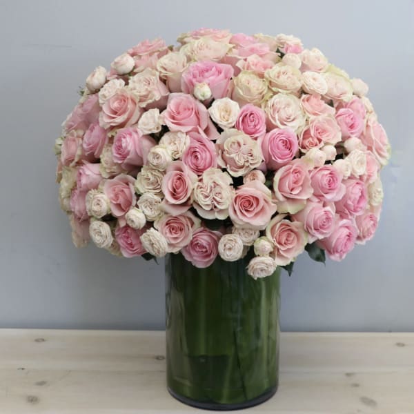 Large dome of pale pink and cream roses arranged in a tall glass cylinder vase.