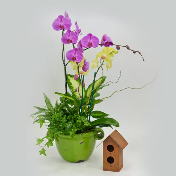 Purple and yellow orchids in a green pot beside a small wooden birdhouse