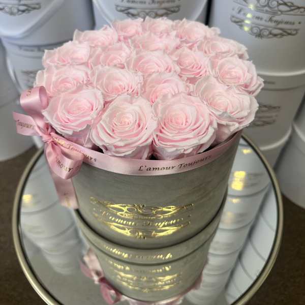 Pink Everlasting Roses
