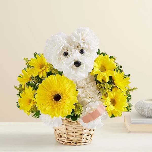 White flower dog in a basket surrounded by yellow daisies