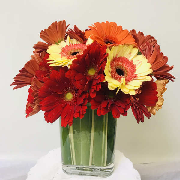 Bouquet of red, orange, and yellow gerbera daisies in a glass vase