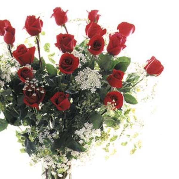 Bouquet of red roses with white filler flowers