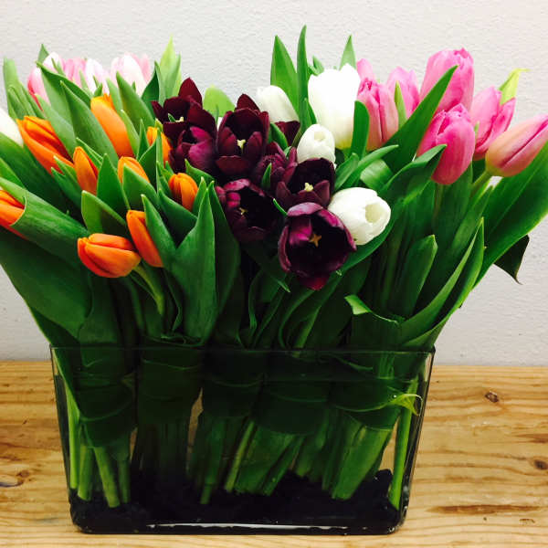 Mixed tulips arranged in a rectangular glass vase