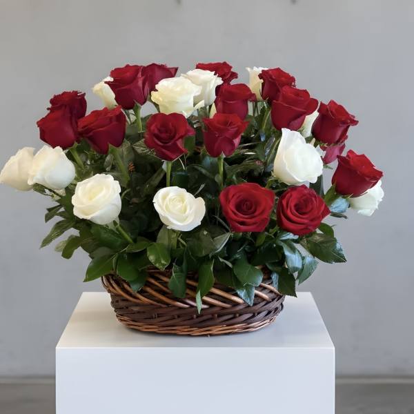 Basket of red and white roses on a white pedestal
