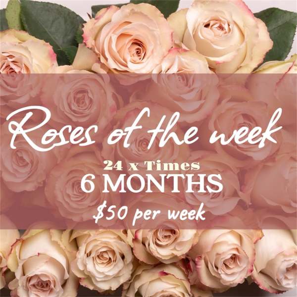 Peach roses with a text overlay advertising roses of the week