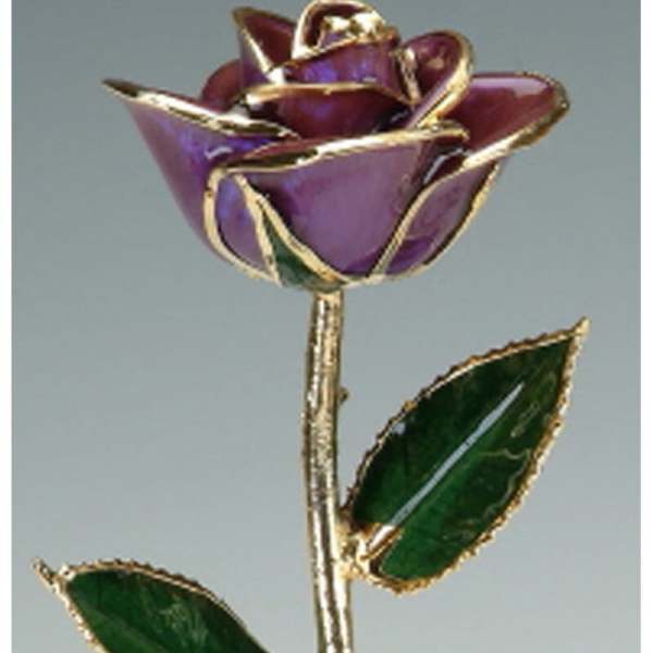 Purple rose with gold-trimmed petals and green leaves