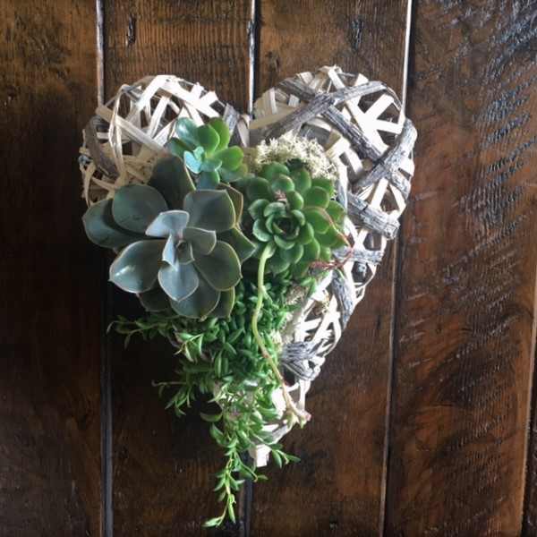 Succulent Heart Garden