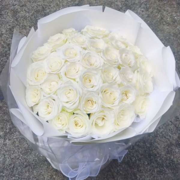 Bouquet of white roses wrapped in white paper with a sheer ribbon