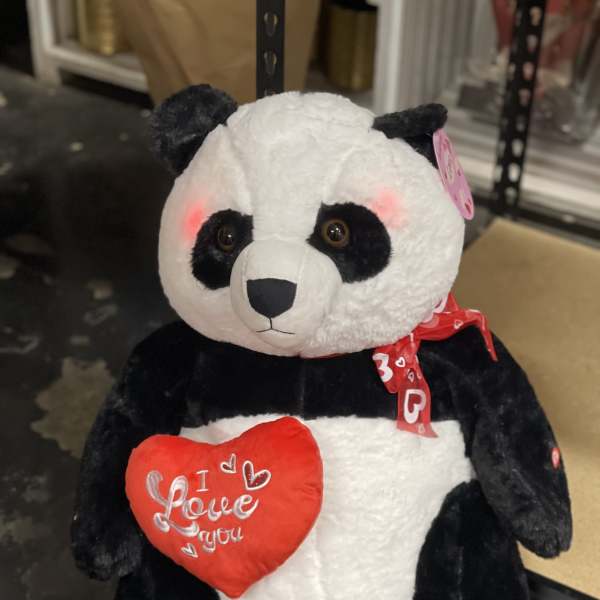 Never let my panda heart ️ go