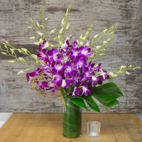 Purple orchids arranged in a tall glass vase with broad green leaves.