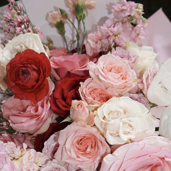 Bouquet of pink, red, and white roses with pale pink filler flowers
