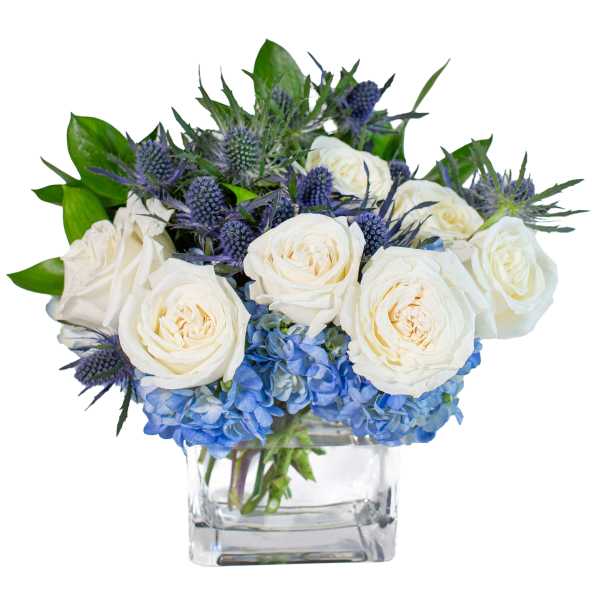 White roses and blue hydrangeas in a clear square vase
