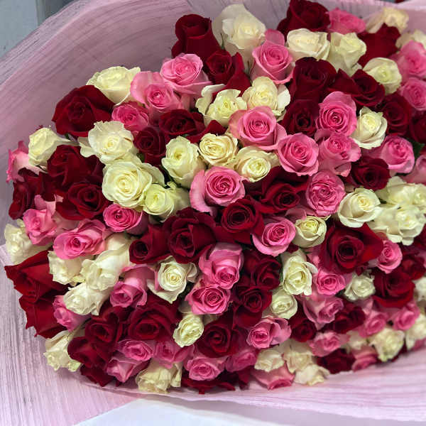 Large bouquet of red, pink, and white roses wrapped in pale pink paper