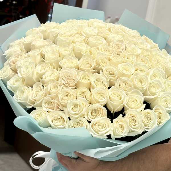 Large bouquet of cream roses wrapped in pale blue paper