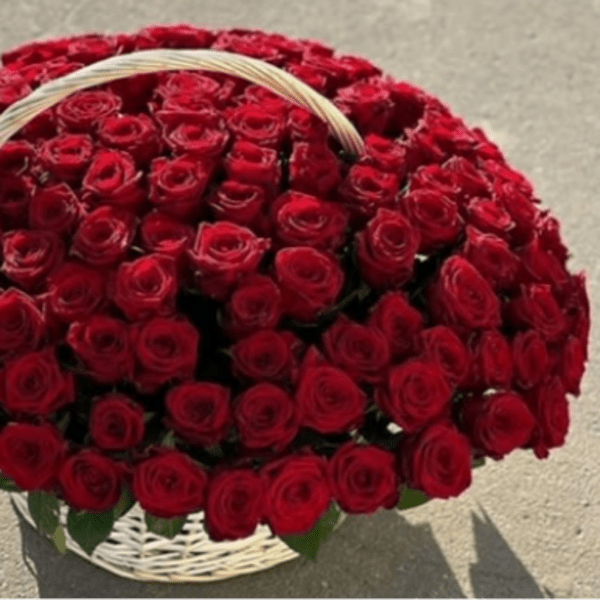 100 Red Roses in Woven Basket