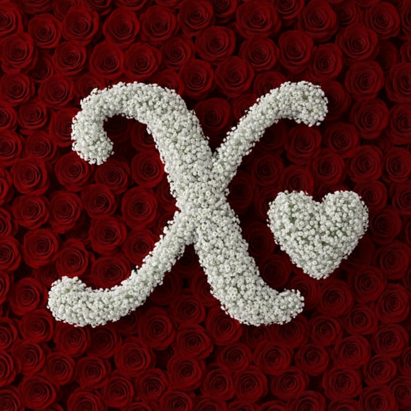 Baby's Breath Letter - X
