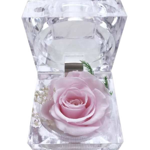 Single pink rose in a clear faceted acrylic holder