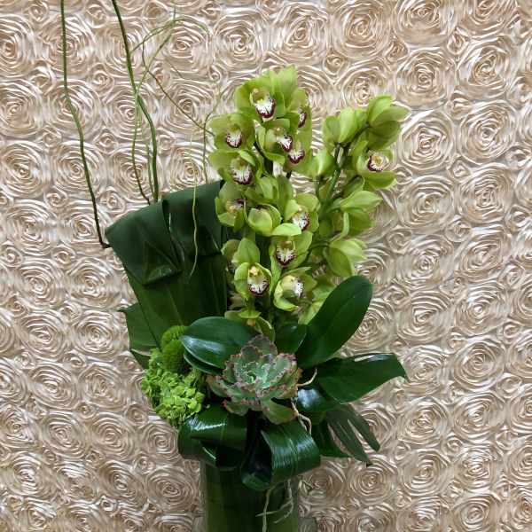 Tall green orchid arrangement in a glass vase with broad leaves and succulents