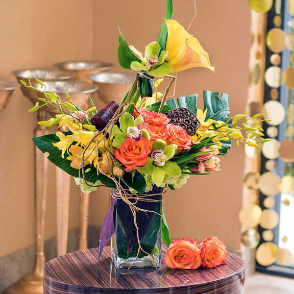 Brights and Delights