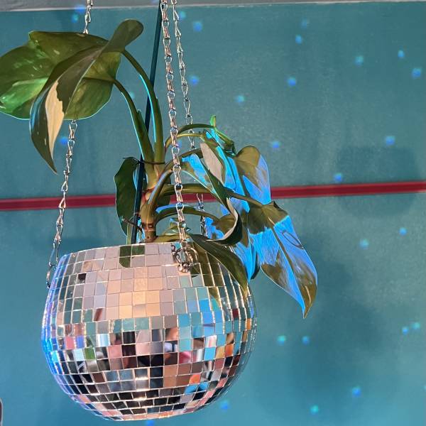 Hanging plant in a mirrored disco-ball planter with chain hanger