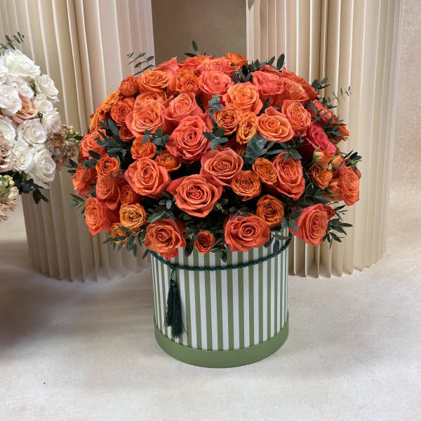 Orange Roses D