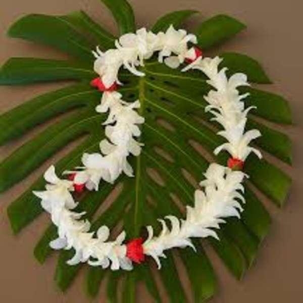 White flower lei on a large green leaf backdrop