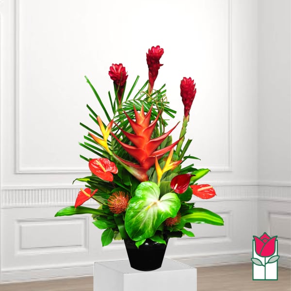 Tropical flower arrangement in a black vase with red and orange blooms