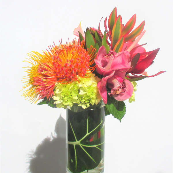Tropical arrangement with orange protea, pink orchids and green hydrangea in a tall glass vase lined with a large leaf