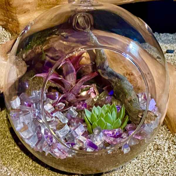 Glass terrarium with purple air plant, green succulent, and colorful stones resting on sand and wood