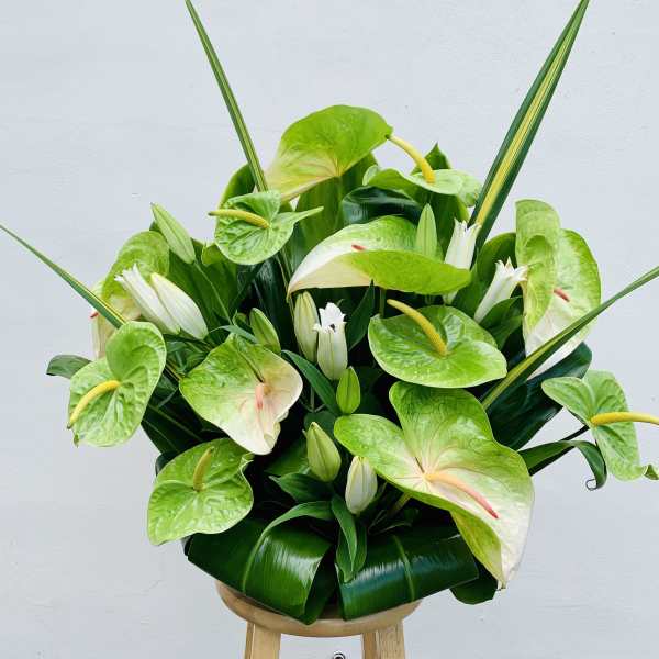 #158 Green Anthurium Mix Arrangement with stargazer lilies