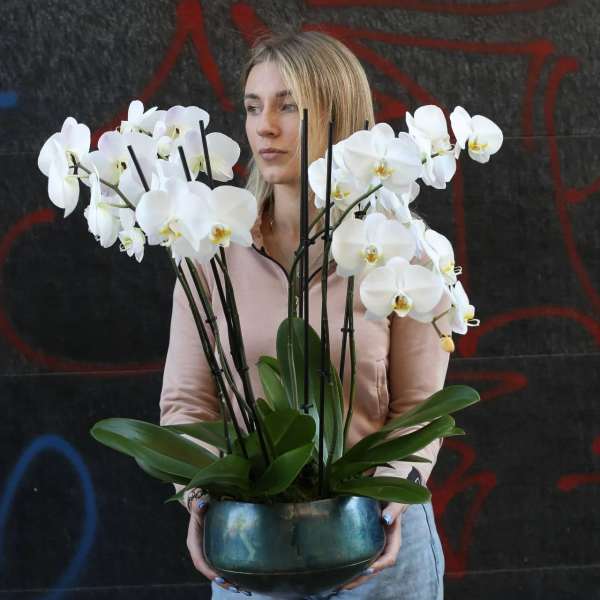 Woman holding a bowl of white orchids