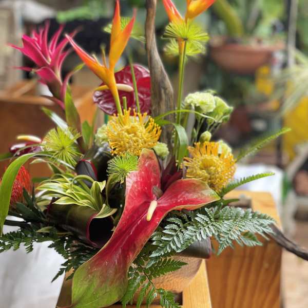 Tropical arrangement with orange heliconia and red anthurium in a low container