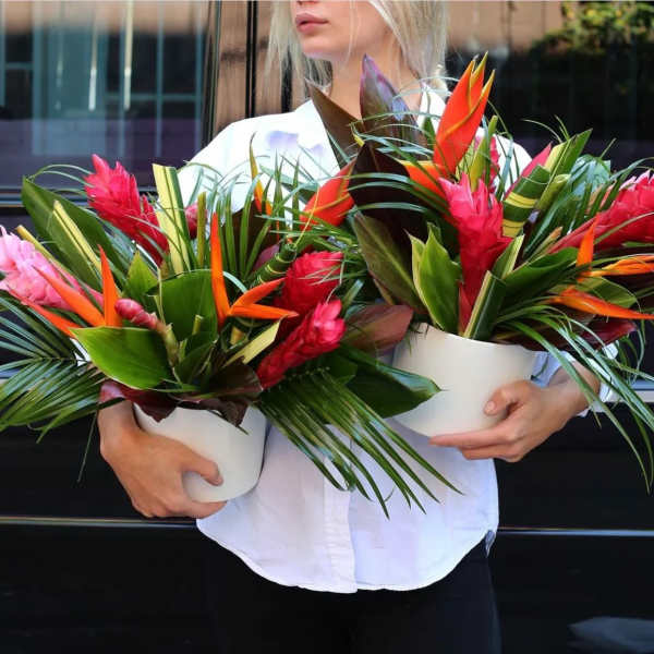 Two tropical flower arrangements in white pots held by a person