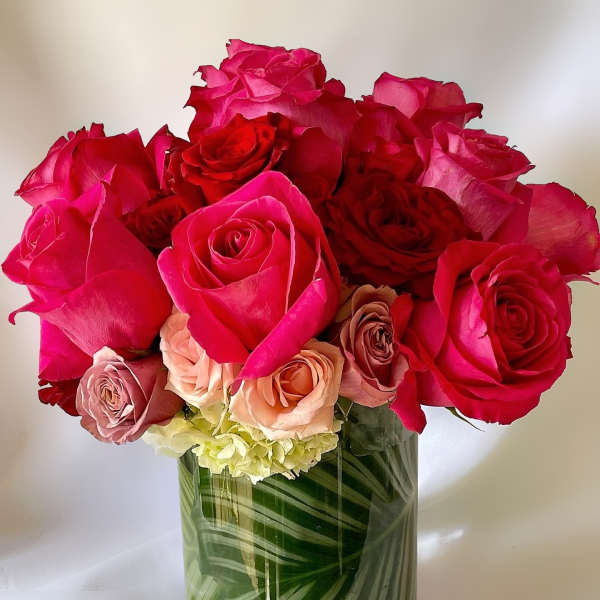 Hot pink, red, and blush roses with pale green hydrangea in a glass vase lined with striped green leaves.