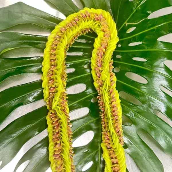 Yellow flower lei on large green leaves