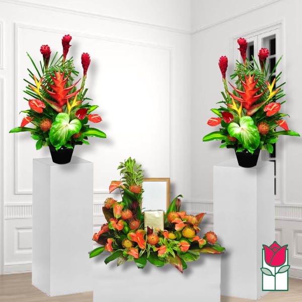Tropical floral arrangement with red and orange blooms in black pots