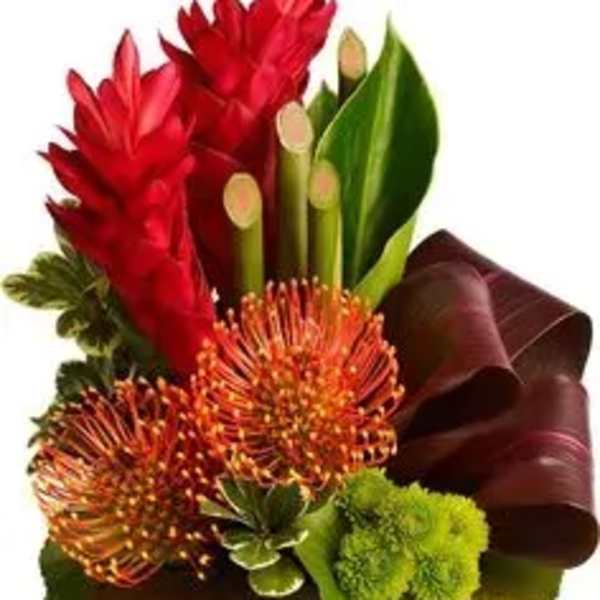 Red and orange tropical flowers in a bronze vase