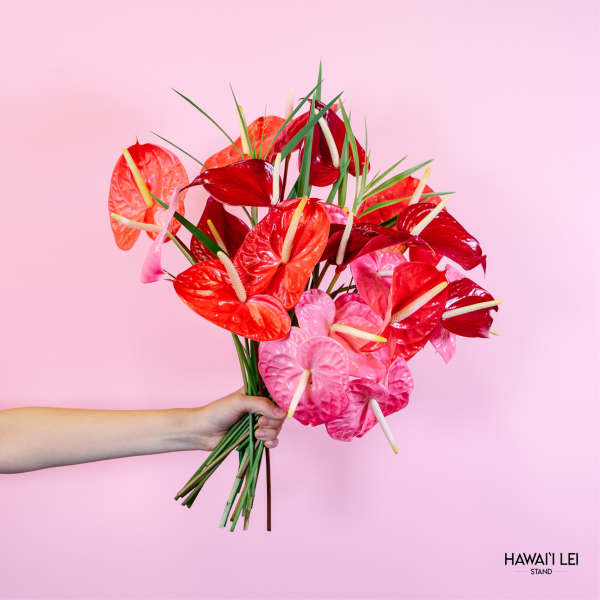 Handheld bouquet of red and pink anthuriums against a pink background