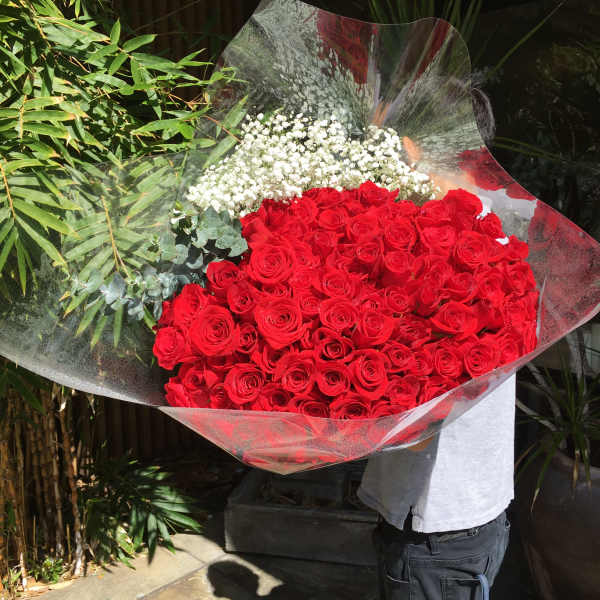 Oversized bouquet of tightly packed red roses with white filler flowers wrapped in clear cellophane
