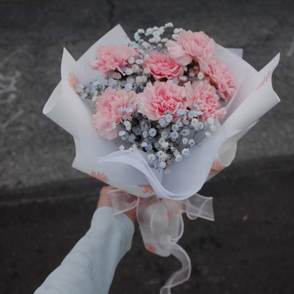 Fresh pink carnations with baby's breath