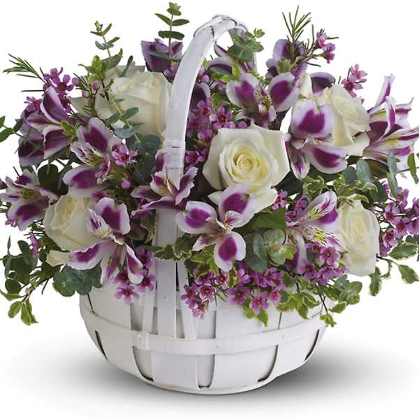 White basket of white roses and purple alstroemeria