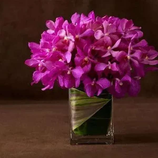 Purple orchid bouquet in a clear square vase