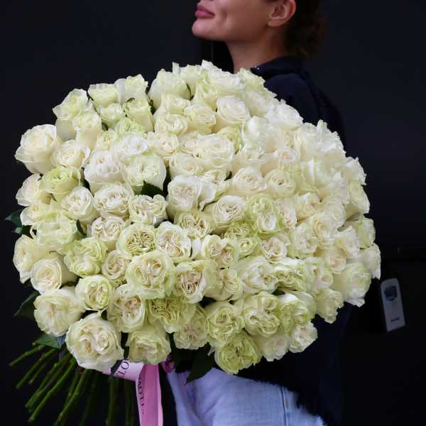 Large bouquet of white roses held by a person