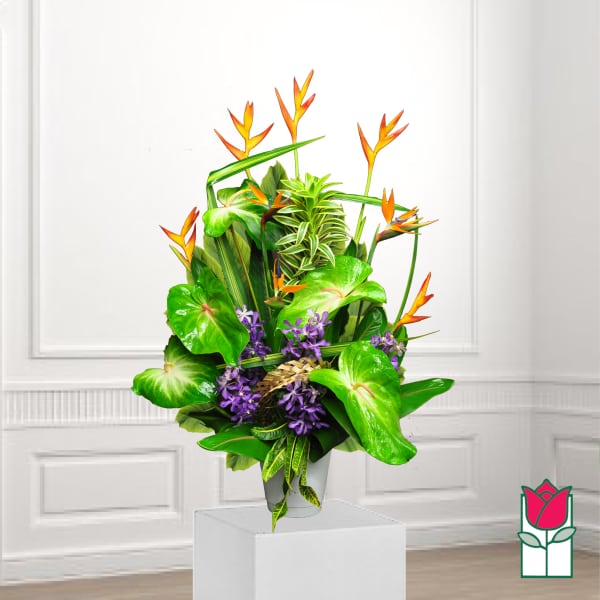 Tropical arrangement with orange bird-of-paradise and purple flowers in a white vase