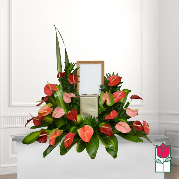 Arrangement of red and pink anthuriums with a gift box and frame