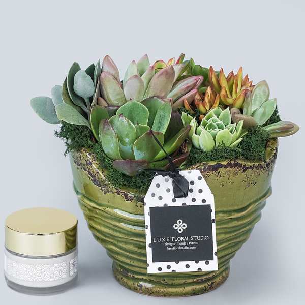Succulent arrangement in a green ceramic pot beside a small candle jar