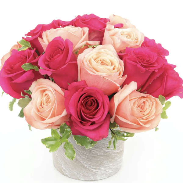 Pink and peach roses arranged in a white vase