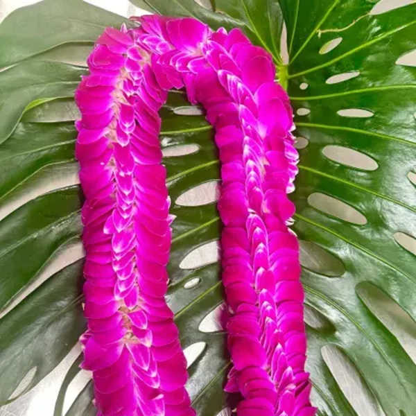Pink flower lei on large green tropical leaves