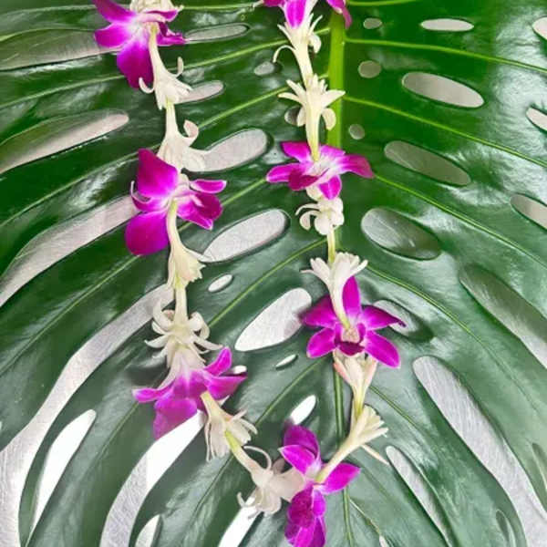 Purple and white orchid lei on a large split-leaf monstera leaf