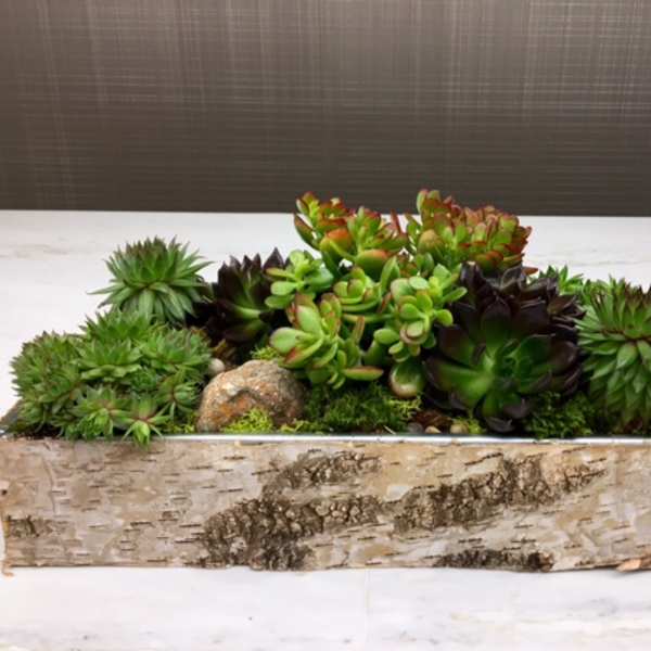 Rectangular planter filled with assorted succulents and moss